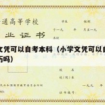 小学文凭可以自考本科（小学文凭可以自考本科学历吗）