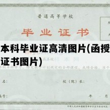 函授本科毕业证高清图片(函授本科学历证书图片)