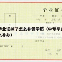 中专毕业证掉了怎么补领学历（中专毕业证掉了怎么补办）