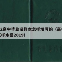 2022高中毕业证样本怎样填写的（高中毕业证样本图2019）