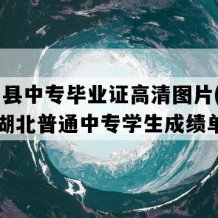 监利县中专毕业证高清图片(1998年湖北普通中专学生成绩单）