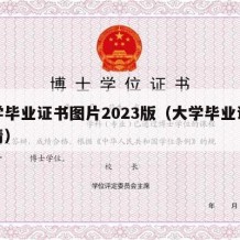 大学毕业证书图片2023版（大学毕业证书高清）