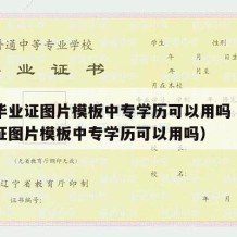 中专毕业证图片模板中专学历可以用吗（中专毕业证图片模板中专学历可以用吗）