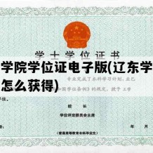 辽东学院学位证电子版(辽东学院学位证怎么获得)