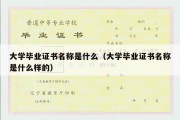 大学毕业证书名称是什么（大学毕业证书名称是什么样的）