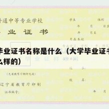 大学毕业证书名称是什么（大学毕业证书名称是什么样的）