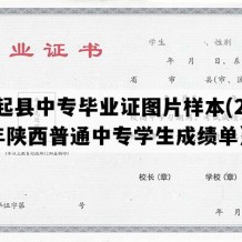 吴起县中专毕业证图片样本(2008年陕西普通中专学生成绩单）