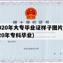 2020年大专毕业证样子图片(2020年专科毕业)