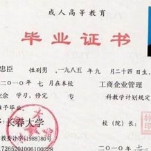 小学毕业证丢了怎么办(小学毕业证丢了怎么办高考需要了)