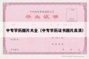 中专学历图片大全（中专学历证书图片高清）