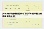 大学本科毕业证照片尺寸（大学本科毕业证照片尺寸是几寸）