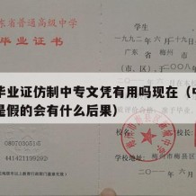 中专毕业证仿制中专文凭有用吗现在（中专毕业证是假的会有什么后果）