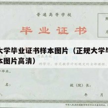 正规大学毕业证书样本图片（正规大学毕业证书样本图片高清）