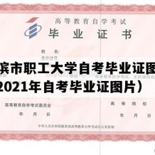 哈尔滨市职工大学自考毕业证图片模板（2021年自考毕业证图片）