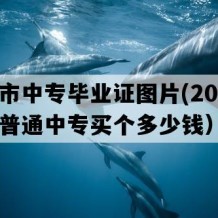 漳州市中专毕业证图片(2004年福建普通中专买个多少钱）