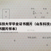 山东科技大学毕业证书图片（山东科技大学毕业证书图片样本）