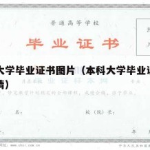 本科大学毕业证书图片（本科大学毕业证书图片高清）