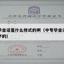 中专毕业证是什么样式的啊（中专毕业证书什么样子的）