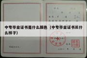 中专毕业证书是什么颜色（中专毕业证书长什么样子）