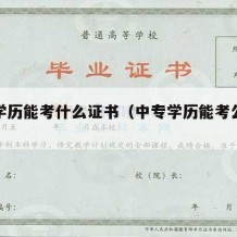 中专学历能考什么证书（中专学历能考公务员吗）