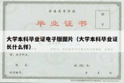 大学本科毕业证电子版图片（大学本科毕业证长什么样）