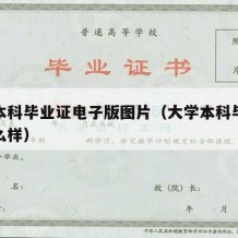 大学本科毕业证电子版图片（大学本科毕业证长什么样）