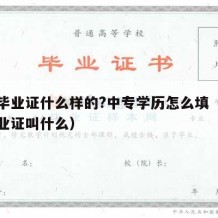 中专毕业证什么样的?中专学历怎么填（中专的毕业证叫什么）