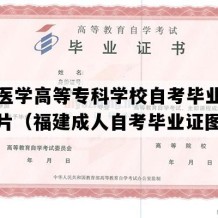 泉州医学高等专科学校自考毕业证实拍图片（福建成人自考毕业证图片）