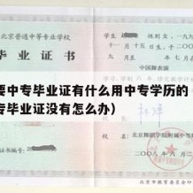 公司要中专毕业证有什么用中专学历的（公司要中专毕业证没有怎么办）