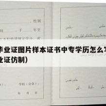 中专毕业证图片样本证书中专学历怎么写（中专毕业证仿制）