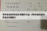 专升本本科毕业证书图片大全（专升本的本科毕业证书图片）