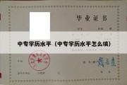 中专学历水平（中专学历水平怎么填）