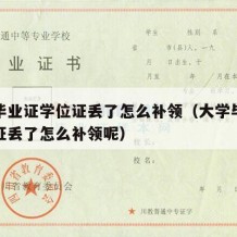 大学毕业证学位证丢了怎么补领（大学毕业证学位证丢了怎么补领呢）