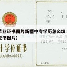 中专毕业证书图片新疆中专学历怎么填（中专毕业证书图片）