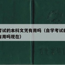 自学考试的本科文凭有用吗（自学考试的本科文凭有用吗现在）