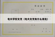 电大学校文凭（电大文凭有什么用处）