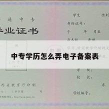 中专学历怎么弄电子备案表