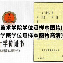 河北美术学院学位证样本图片(河北美术学院学位证样本图片高清)