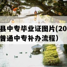 融水县中专毕业证图片(2006年广西普通中专补办流程）