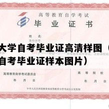 河北大学自考毕业证高清样图（河北成人自考毕业证样本图片）