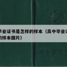 高中毕业证书是怎样的样本（高中毕业证书是怎样的样本图片）