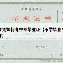 小学文凭如何考中专毕业证（小学毕业中专报考条件）