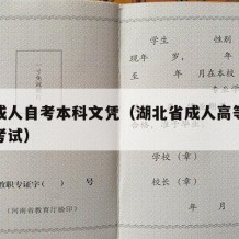 湖北成人自考本科文凭（湖北省成人高等教育自学考试）