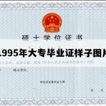 1995年大专毕业证样子图片