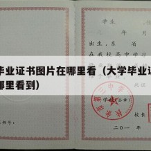 大学毕业证书图片在哪里看（大学毕业证书图片在哪里看到）