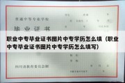 职业中专毕业证书图片中专学历怎么填（职业中专毕业证书图片中专学历怎么填写）