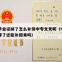 中专毕业证掉了怎么补领中专文凭呢（中专毕业证掉了还能补回来吗）