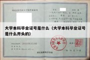 大学本科毕业证号是什么（大学本科毕业证号是什么开头的）