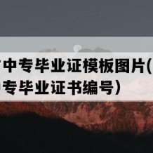 漳平市中专毕业证模板图片(八十年代老中专毕业证书编号）