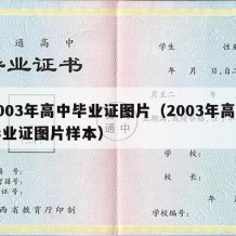 2003年高中毕业证图片（2003年高中毕业证图片样本）